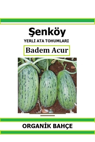 Şenköy Yerli Parmak Badem Acur Tohumu Doğal Ata Turşuluk Badem Acur Tohumu Pa...