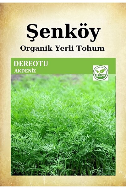 Şenköy Yerli Dereotu Tohumu Akdeniz Doğal Ata Dere Otu Tohumu 1 Pakette 25 Gr...