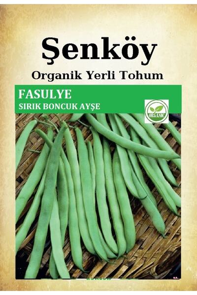 Şenköy Sırık Boncuk Ayşe Fasulye Tohumu Doğal Ata Kılçıksız Sırık Fasulye Toh...