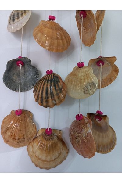 emilysamy Shell Figured Beaded 4-Piece Wind Rose