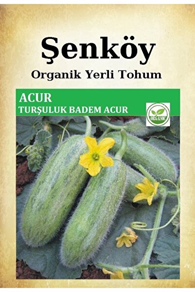 Şenköy Yerli Badem Acur Salatalık Tohumu Doğal Ata Köy Turşuluk Hıyar Tohumu ...