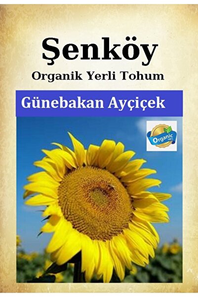 Şenköy Yerli Ayçiçek Günebakan Tohumu Doğal Ata Ayçiçek Tohum Pakette 10 gr T...