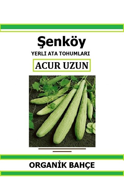 Şenköy Yerli Uzun Acur Tohumu Hıyar Salatalık Acur Ata Tohumu Pakette 20 Tohum + Hediye Sebze Tohumu
