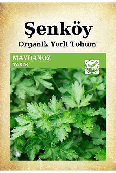 Şenköy Yerli Maydanoz Tohumu Doğal Ata Geniş Yaprak Maydanoz Tohumu Pakette 1...