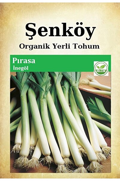 Şenköy Yerli Inegöl Pırasa Tohumu Doğal Ata Beyaz Uzun Bacak Pırasa Tohumu Pa...