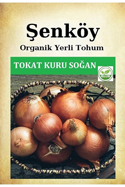 Şenköy Yerli Tokat Kuru Soğan Tohumu Organik Ata Kışlık Soğan Tohumu Pakette ...