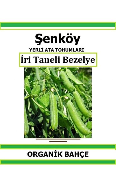 Şenköy Yerli Erkenci Bezelye Tohumu Doğal Ata Bezelye Tohumu Pakette 10 gr 40...