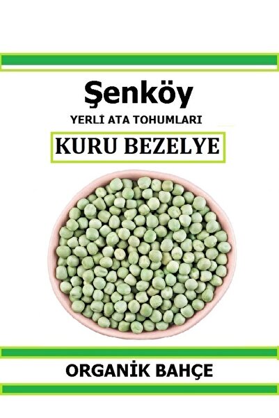 Şenköy Yerli Kuru Bezelye Tohumu Doğal Ata Bezelye Tohumu Pakette 10 gr 50 Tohum Hediye Sebze Tohumu