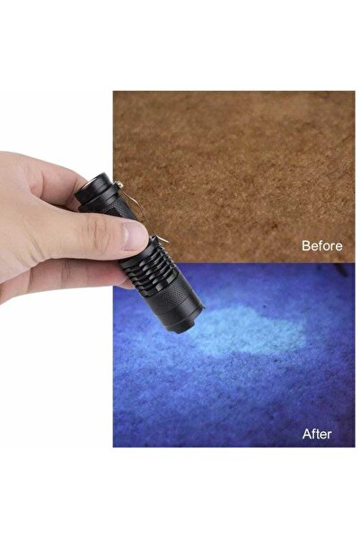 Genel Markalar Ultra hafif Ultraviyole Zoom Mini Uv Siyah Işık Pet Idrar Lekeleri Dedektörü Mor Kamp