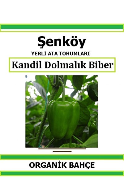 Şenköy Yerli Kandil Dolmalık Biber Tohumu Doğal Ata Tohum Pakette 20 Tohum + ...