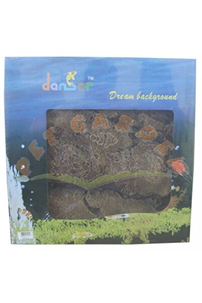 Dansor Dansör Ağaç Köklü Arka Fon