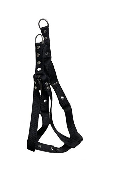 TREND طوق للكلاب من السلالات المتوسطة والصغيرة