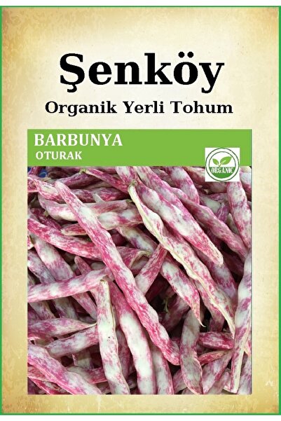 Şenköy Oturak Barbunya Tohumu Doğal Niğde Oturak Barbunya Tohum Pakette 25 Gr