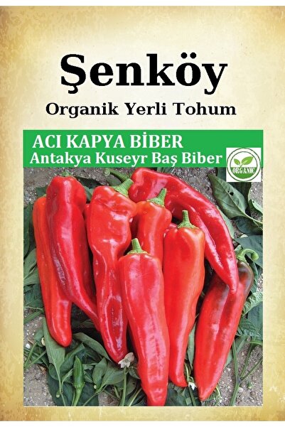 Şenköy Yerli Acı Kapya Biber Tohumu Doğal Ata Salçalık Kapya Biber Tohumu Pakette 10 Gr 1500 Adet