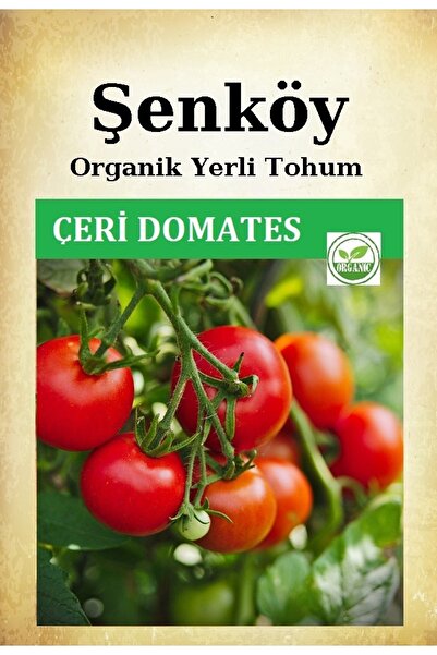 Şenköy Yerli Sırık Salkım Çeri Domates Tohumu Doğal Küçük Domates Tohumu Pakette 100 Adet Tohum