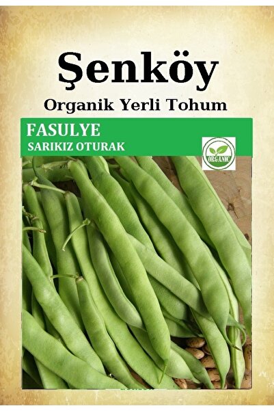 Şenköy Sarıkız Fasulye Tohumu Doğal Ata Kılçıksız Sarıkız Oturak Fasulye Tohu...