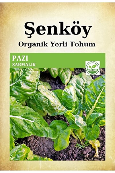 Şenköy Yerli Pazı Tohumu Doğal Ata Sarmalık Pazı Tohumu Pakette 10 Gr 400 Tohum