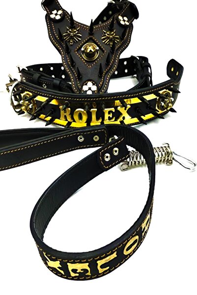 Tasma Market Siyah-gold Renk Rolex Baskılı Köpek Boyun Göğüs Gezdirme Set