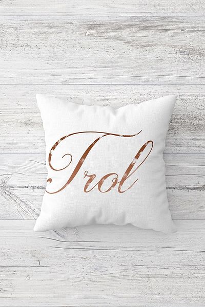 linazaitun One Side Printed Hidden Zipper Decorative Pillowcase Throw Pillow Case Seat Pillowcase