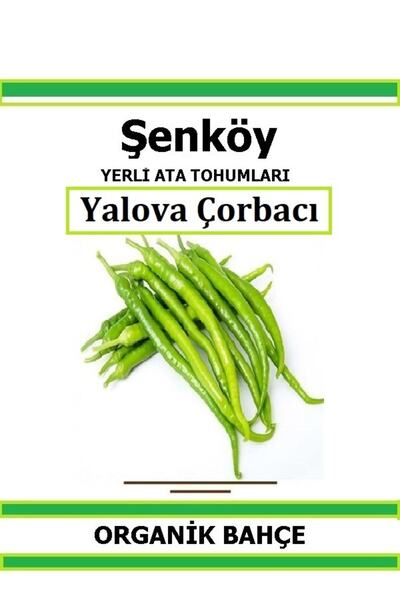 Şenköy Yerli Tatlı Yalova Çorbacı Biber Tohumu Doğal Ata Tohum Pakette 20 Toh...