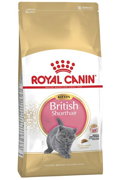 Royal Canin British Shorthair Için Özel Yavru Kedi Mamasi 2 kg