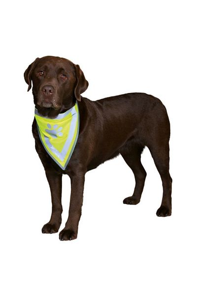 Trixie discount dog products