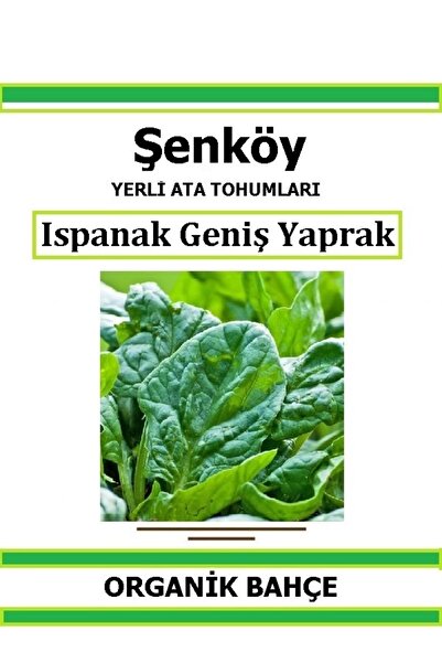 Şenköy Yerli Ispanak Tohumu Doğal Ata Tohum Pakette 5 Gr 500 Tohum + Hediye S...