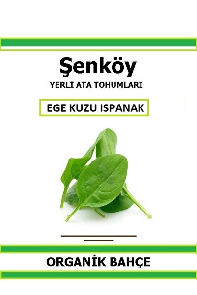 Şenköy Yerli Kuzu Ispanak Tohumu Doğal Ata Tohum Pakette 5 Gr 500 Tohum + Hed...