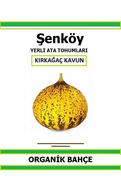 Şenköy Yerli Kırkağaç Kavun Tohumu Doğal Ata Tohum Pakette 20 Tohum + Hediye ...