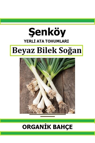 Şenköy Yerli Yeşil Taze Soğan Tohumu Doğal Ata Tohum Pakette 5 gr 1250 Tohum ...