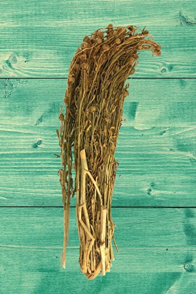 Karşı Köyden Üzerlik Otu Demet