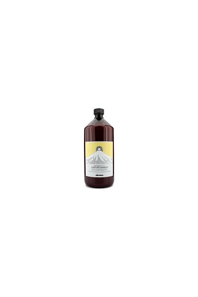 Davines 1000ml Capacity Purifying Anti-Dandruff Shampoo
