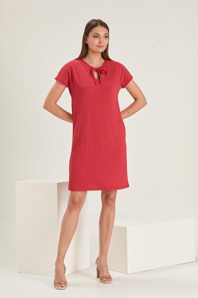 ALEXANDERGARDI Ip Detaylı Elbise (b22-166101)