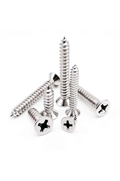Genel Markalar 4x40 Mm Sunta Ve Ağaç Vidası Paslanmaz Dayanıklı Vida 200 Adet