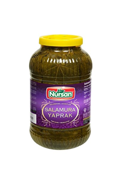 Nursan Gıda Salamura Asma Yaprak 5 kg