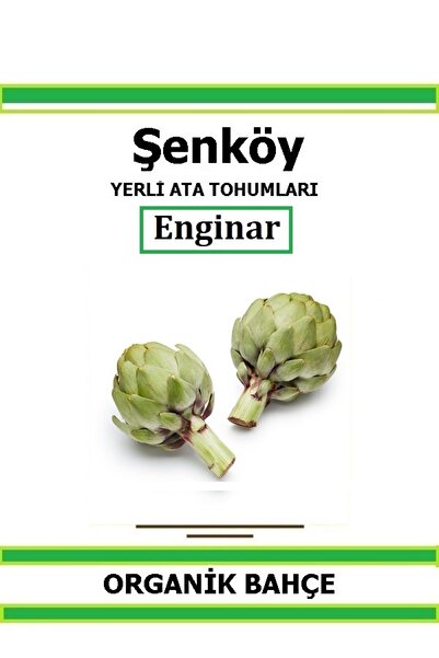Şenköy Yerli Erkenci Enginar Tohumu Doğal Ata Tohum Pakette 10 Tohum +hediye Sebze Tohumu