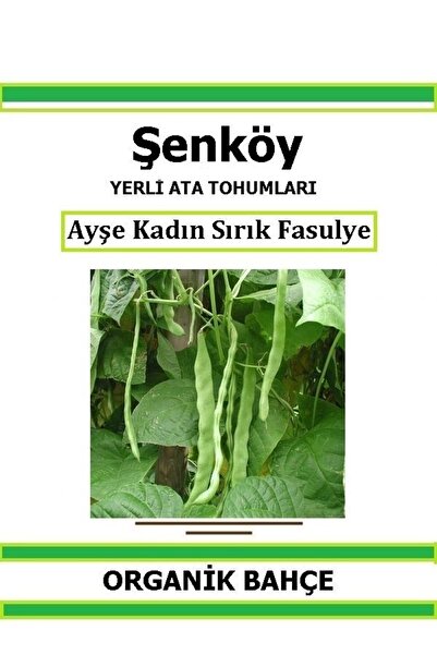 Şenköy Yerli Sırık Ayşe Kadın Fasulye Tohumu Doğal Ata Tohum Pakette 20 Tohum...