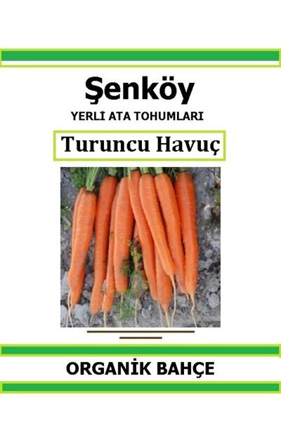Şenköy Yerli Turuncu Havuç Tohumu Doğal Ata Tohum Pakette 5 gr 2500 Tohum Hed...
