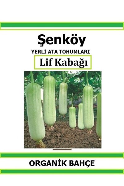 Şenköy Yerli Lif Kabak Tohumu Doğal Ata Tohum Pakette 10 Tohum + Hediye Sebze...