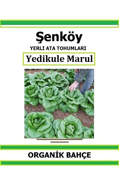 Şenköy Yerli Yedikule Marul Tohumu Doğal Ata Tohum Pakette 1 gr 500 Tohum Hed...