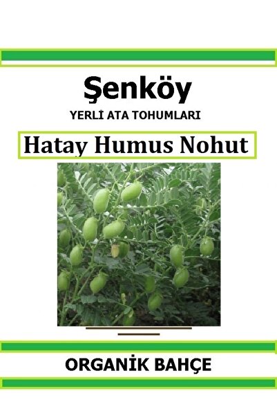 Şenköy Yerli Hatay Humus Nohut Tohumu Doğal Ata Tohum Pakette 25 gr 50 Tohum ...