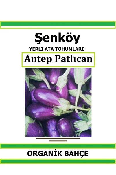 Şenköy Yerli Antep Mor Patlıcan Tohumu Doğal Ata Tohum Pakette 20 Tohum + Hed...