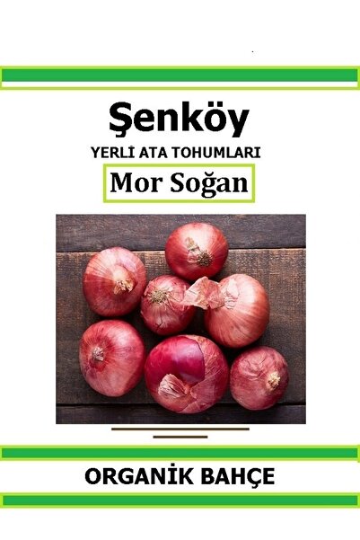 Şenköy Yerli Erdek Mor Soğan Tohumu Doğal Ata Tohum Pakette 5 gr 1250 Tohum H...