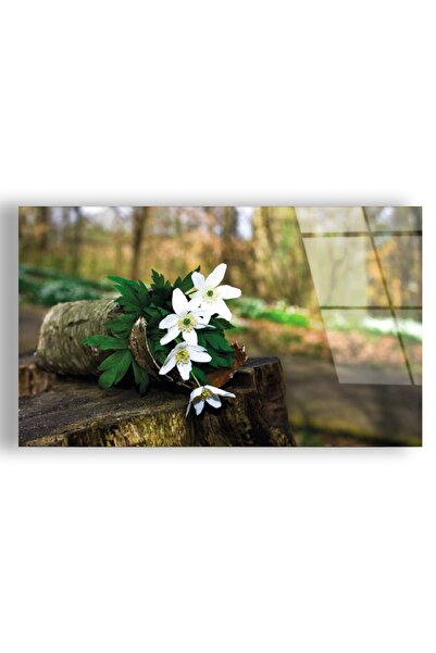 Zevahir Mobilya Dekorasyon Frameless Horizontal Green Plants White Flower Bun...