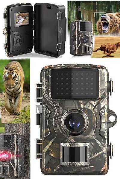 toprak Foto Kapan 1080p Kalem Pil Ile Çalışan Kamp Hayatta Kalma Orman Ada Vi...