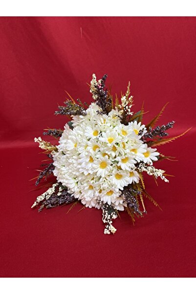 Leylamok Beyaz Papatya Gelin Çiçeği