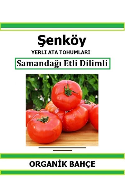 Şenköy Yerli Samandağı Etli Domates Tohumu Doğal Ata Tohum Pakette 30 Tohum H...