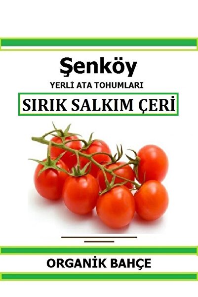 Şenköy Yerli Sırık Salkım Çeri Domates Tohumu Doğal Ata Tohum Pakette 20 Tohum +hediye Sebze Tohumu