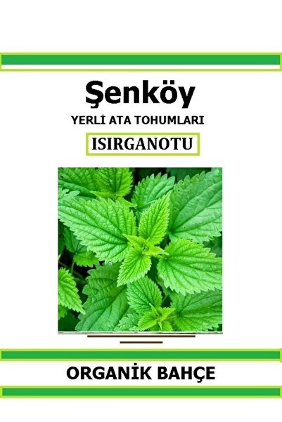 Şenköy Yerli Isırganotu Tohumu Doğal Ata Isırgan Otu Tohum Pakette 500 Tohum ...