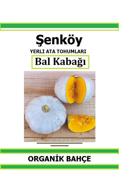 Şenköy Yerli Bal Kabak Tohumu Doğal Ata Tohum Pakette 20 Tohum + Hediye Sebze...